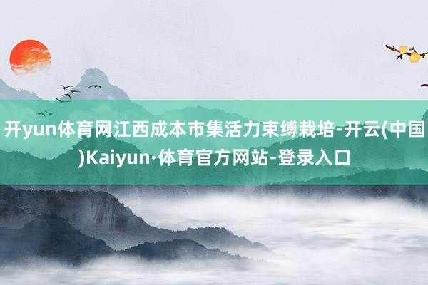 开yun体育网江西成本市集活力束缚栽培-开云(中国)Kaiyun·体育官方网站-登录入口