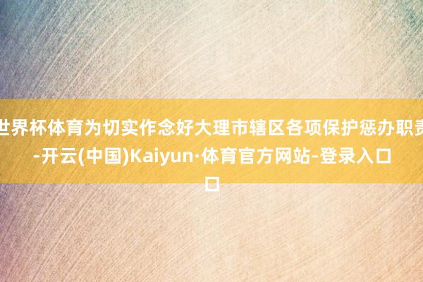 世界杯体育为切实作念好大理市辖区各项保护惩办职责-开云(中国)Kaiyun·体育官方网站-登录入口