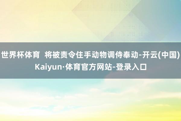 世界杯体育  将被责令住手动物调侍奉动-开云(中国)Kaiyun·体育官方网站-登录入口
