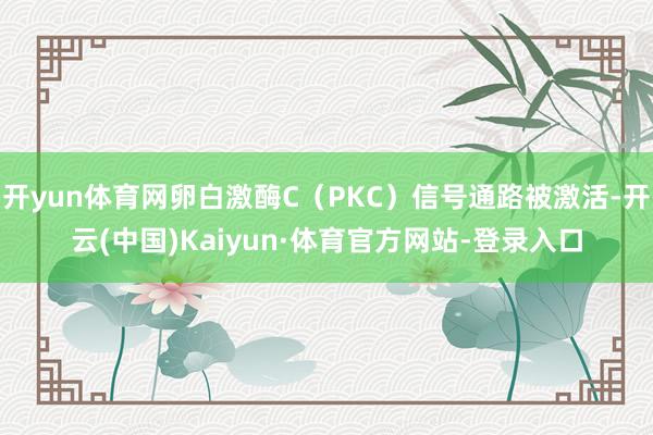开yun体育网卵白激酶C(PKC)信号通路被激活-开云(中国)Kaiyun·体育官方网站-登录入口
